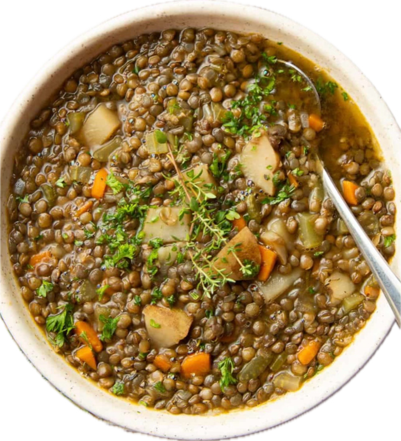 Moroccan lentil soup